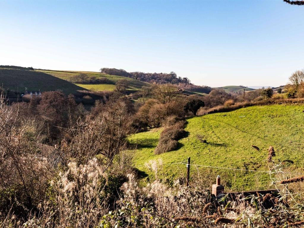 The Three Horseshoes Inn Bridport Luaran gambar